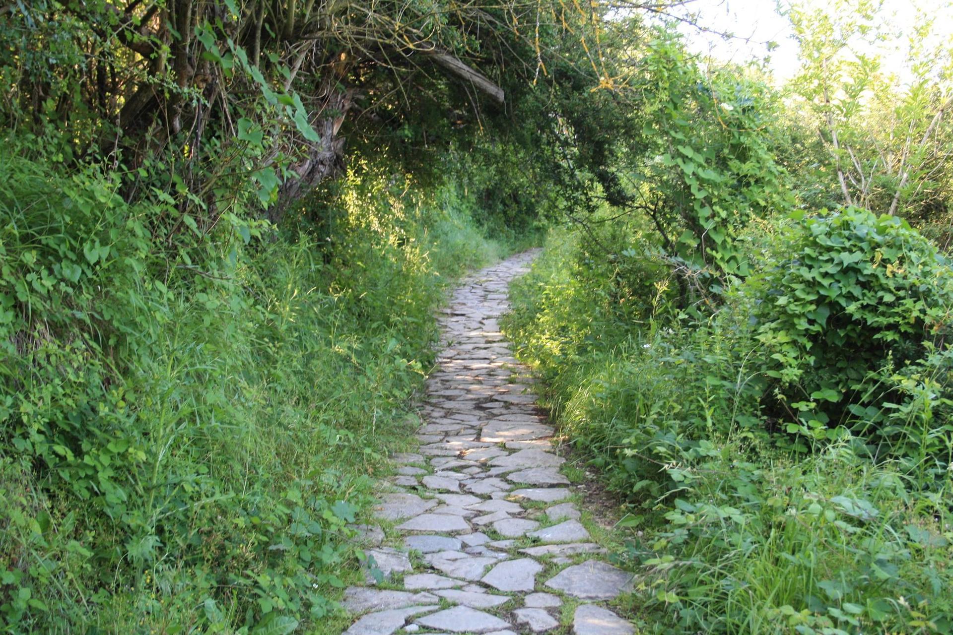 Petit chemin de pierre  MarieEve Lessard