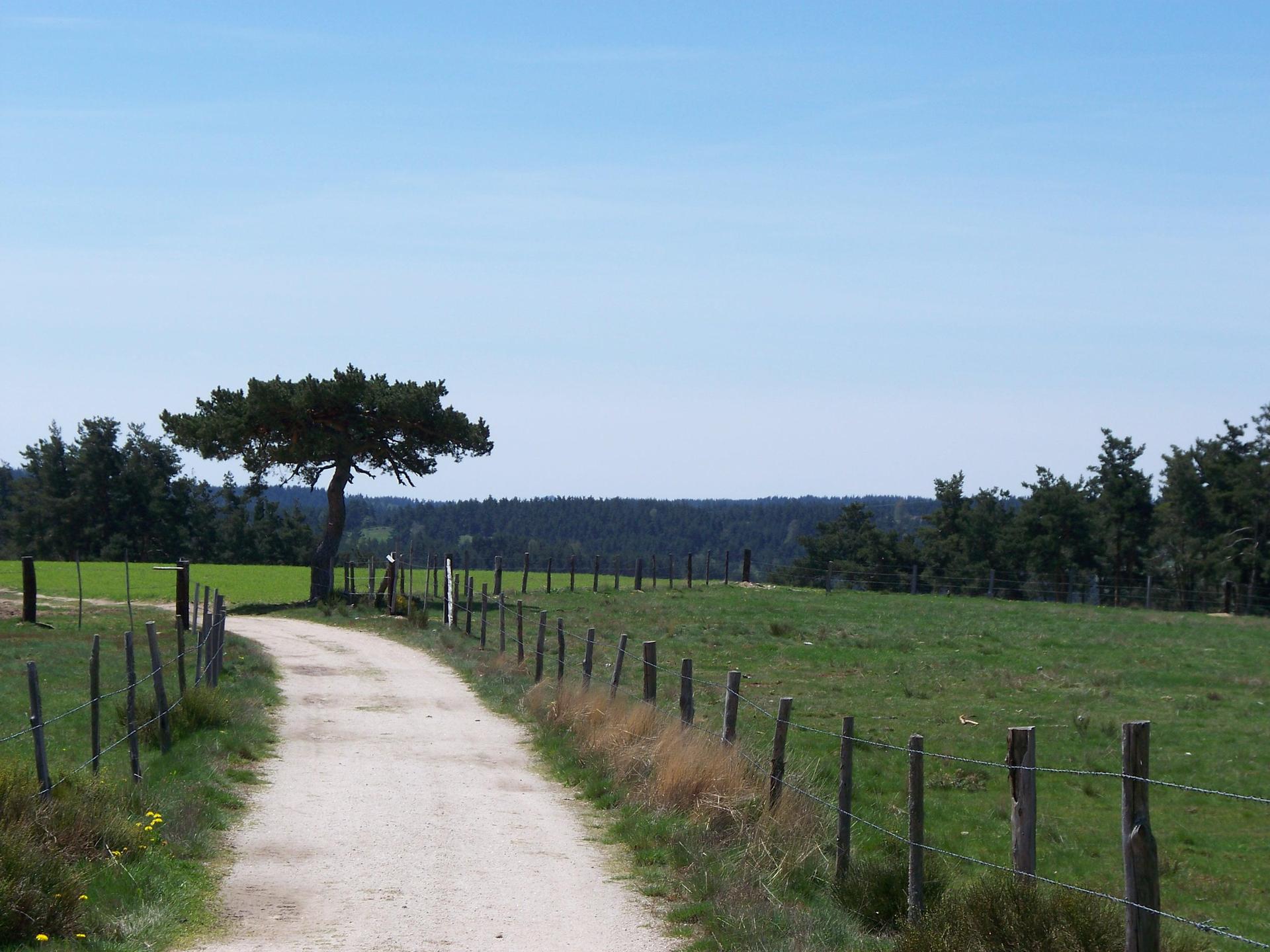 Chemin faisant  MarieEve Lessard