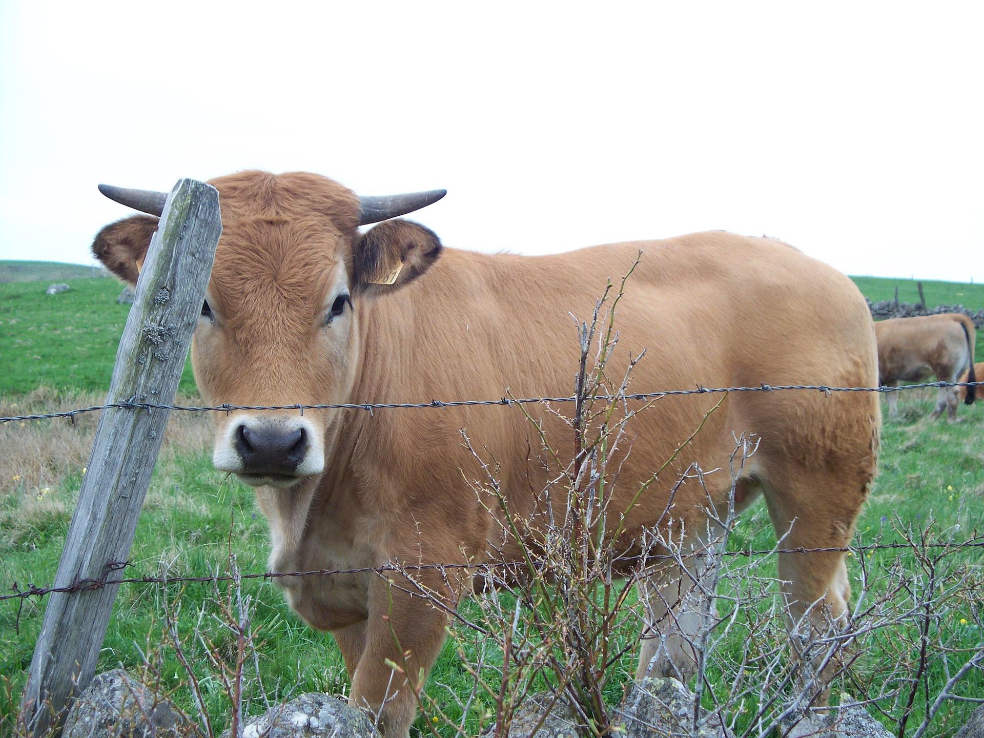On nous observe!  MarieEve Lessard