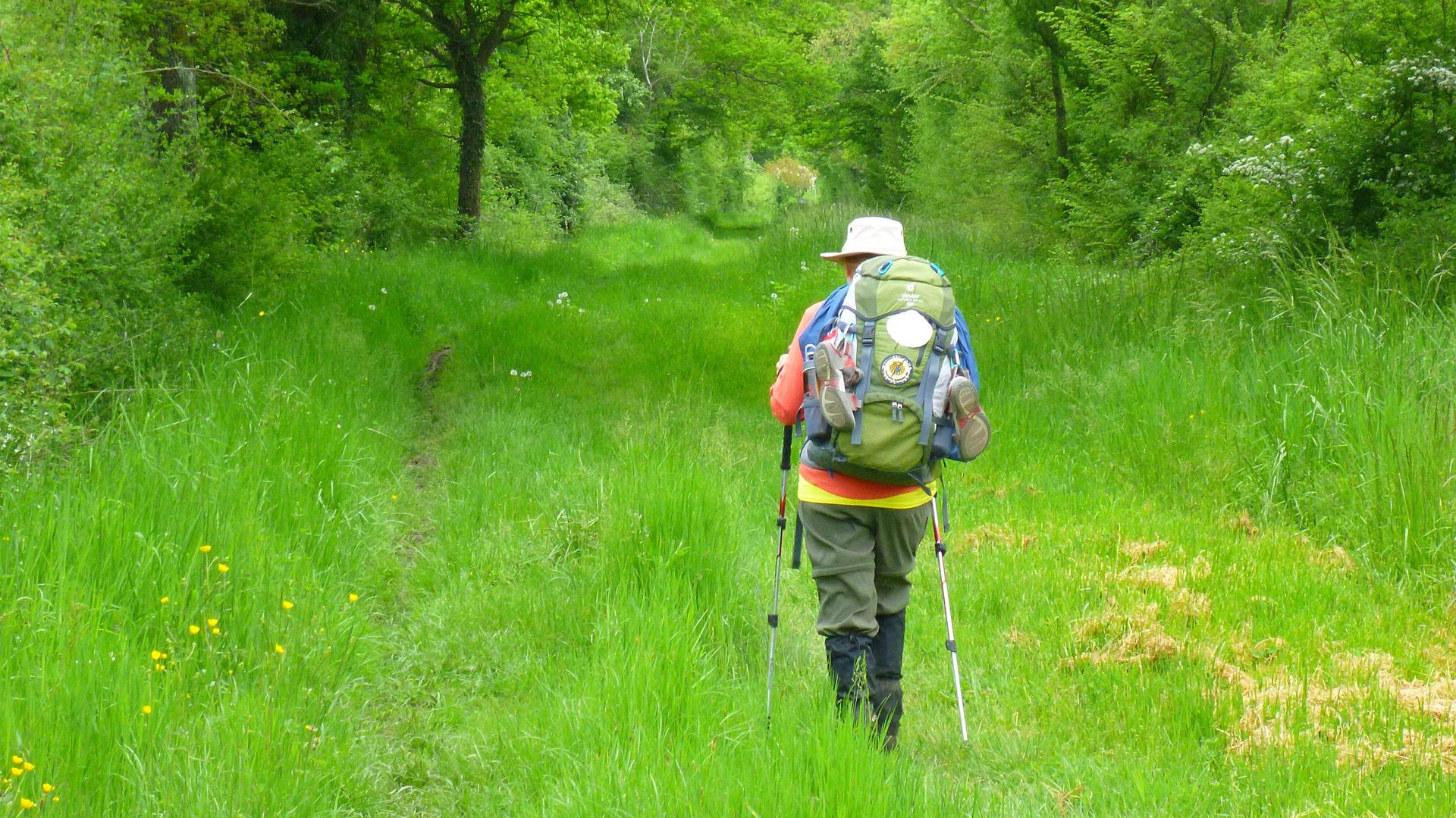 Voie de Vezelay  Réjean Arsenault