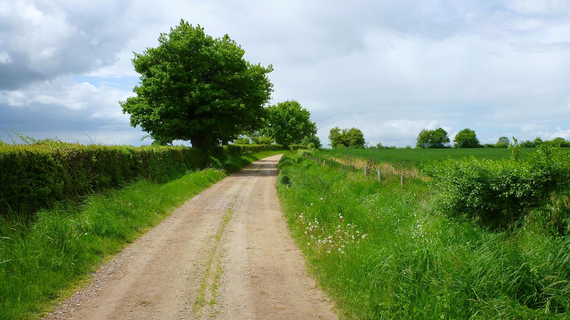 Voie de Vézelay  Réjean Arsenault