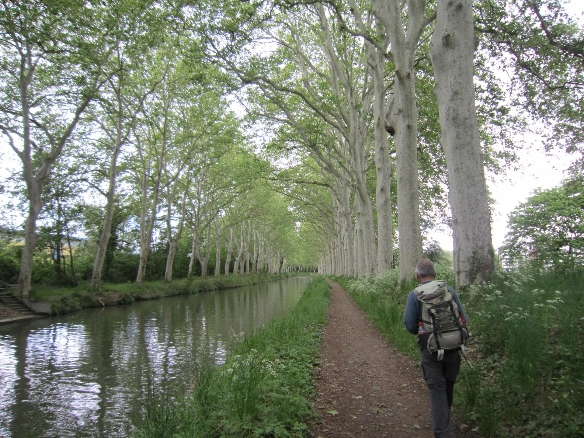 Canal du Midi  Maurice Belliveau