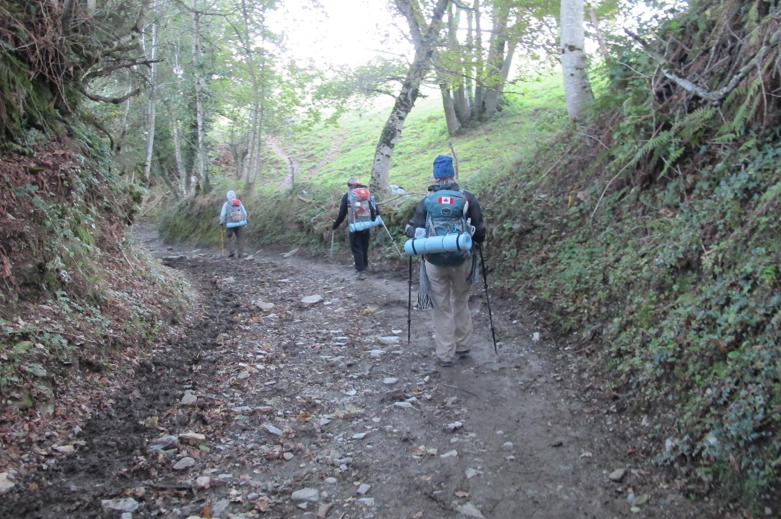 Camino Francés  Suzanne Montambault