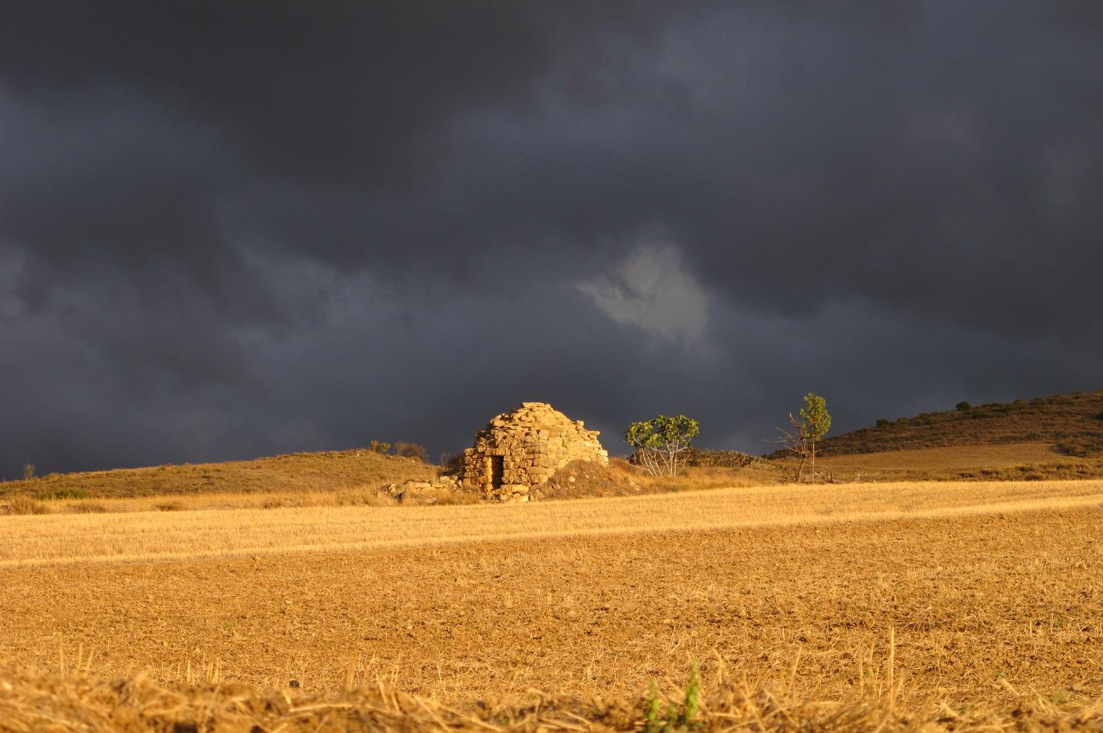 Camino Francés  Suzanne Montambault