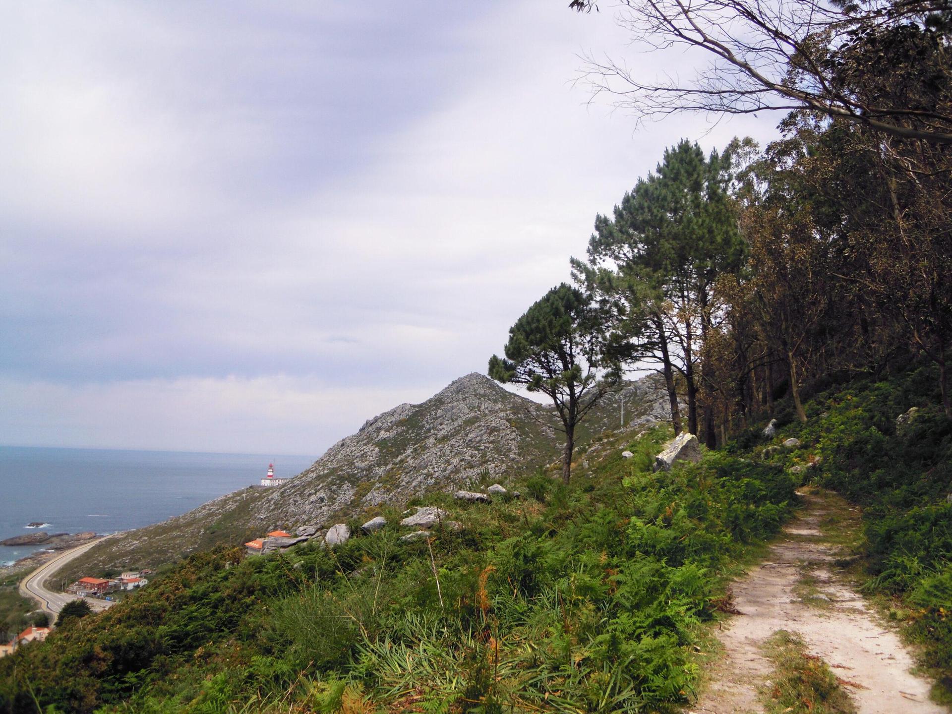 Camino Portela  E. Lenkiewicz