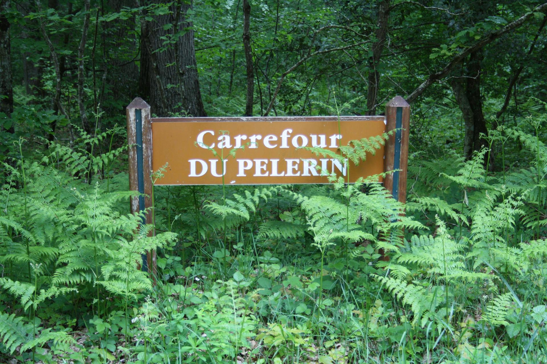 Carrefour du pèlerin  MarieEve Lessard