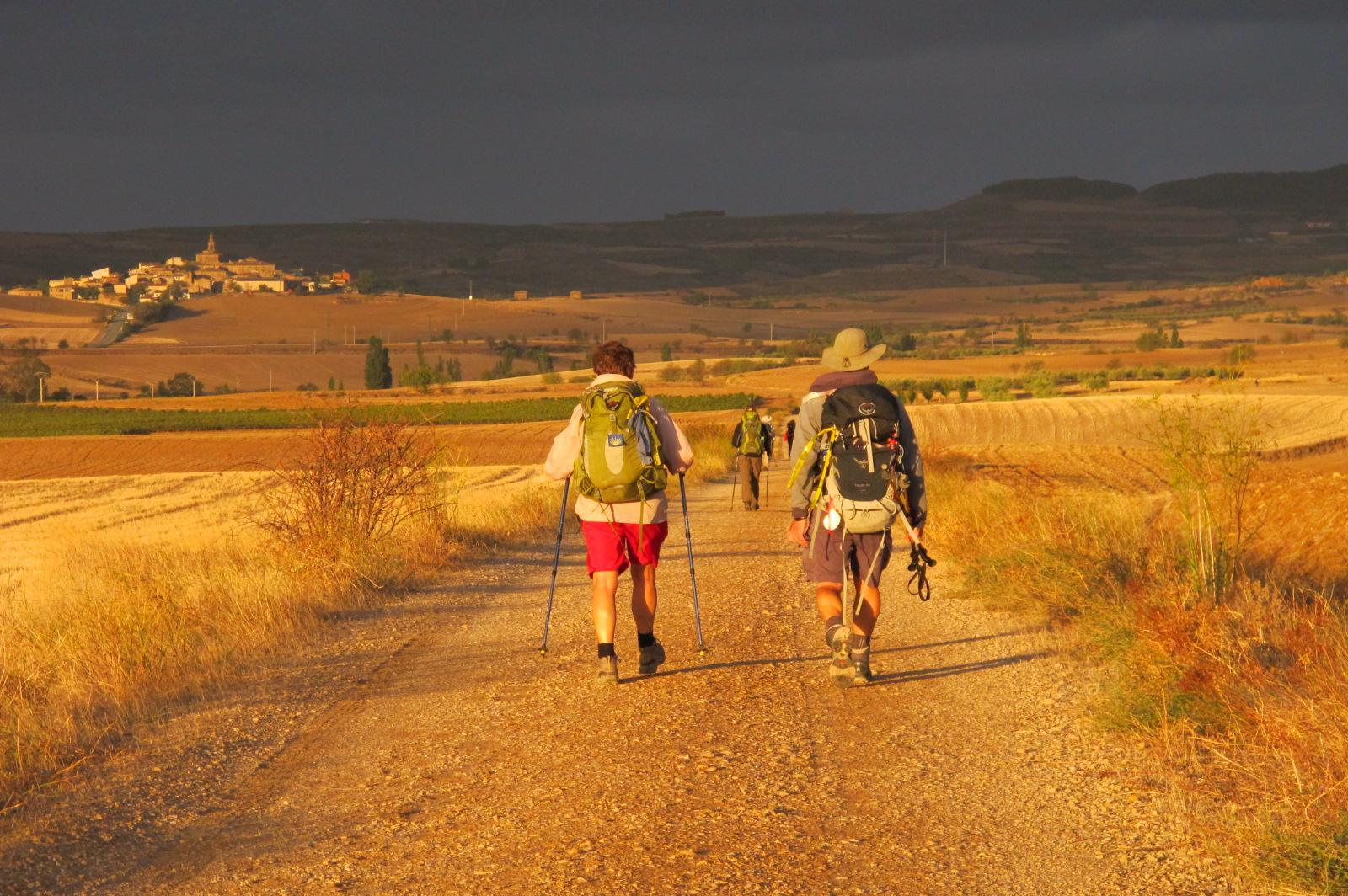 Camino Francés  Suzanne Montambault