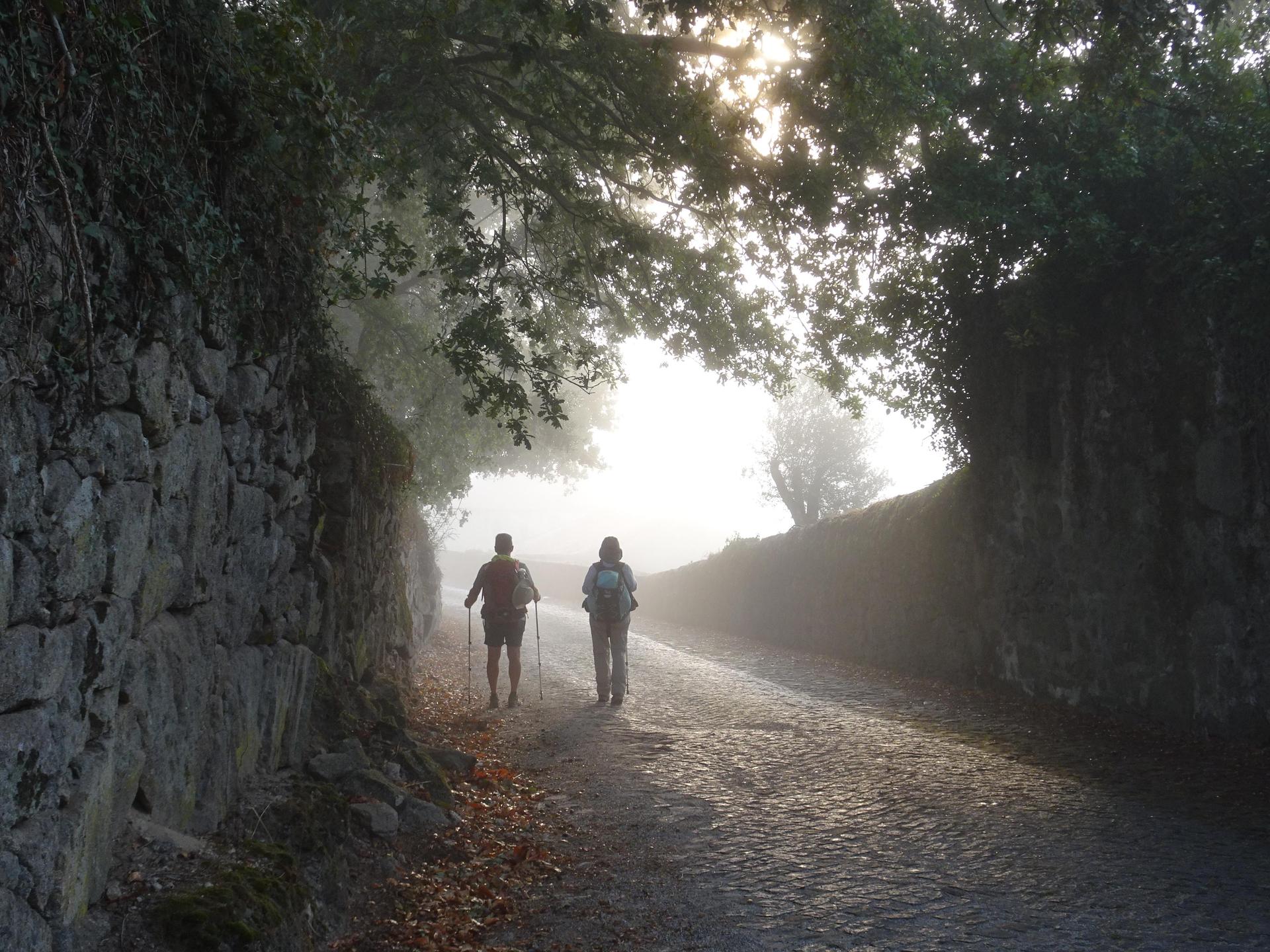 Camino Francés  Suzanne Montambault