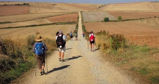 Camino Frances et chemin du Puy-en-Velay