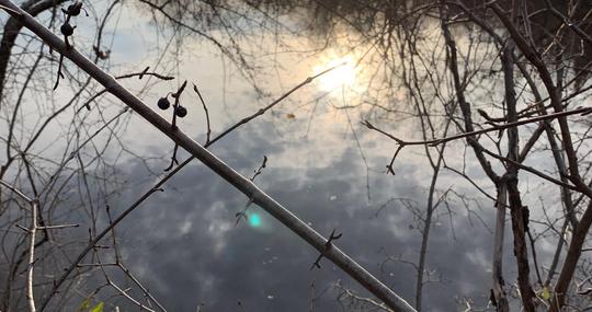 Marche spéciale au Parc de la Visitation